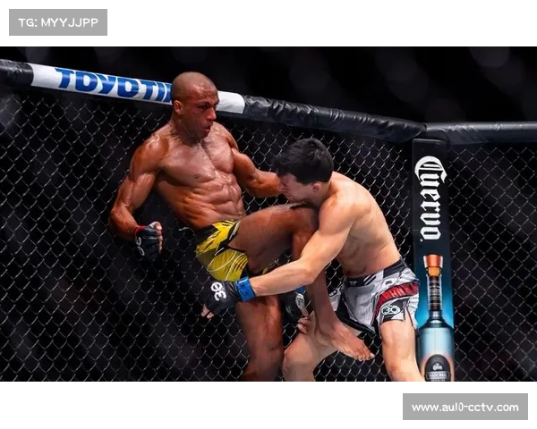 奎兰萨尔基尔德高扫KO技惊四座 成业余格斗者必学经典