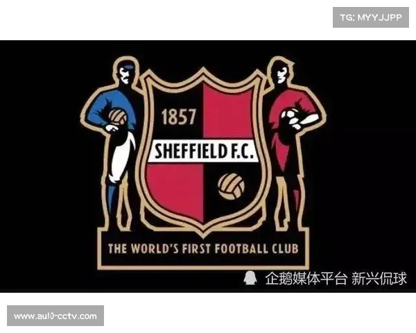 英国政府拟改革足球管理设立独立监管机构 英国政府拟改革足球管理设立独立监管机构